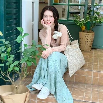 案中案